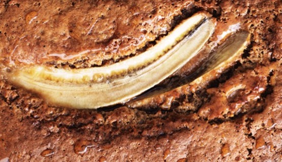 Banana bread
