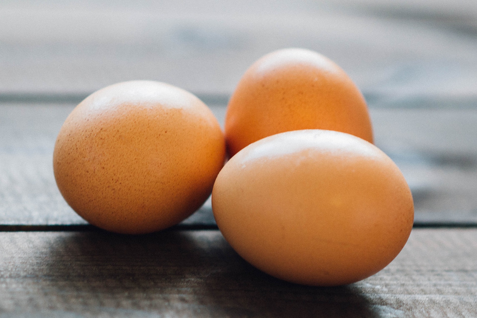 Salmonellose, cholestérol... les œufs sont-ils à risque?